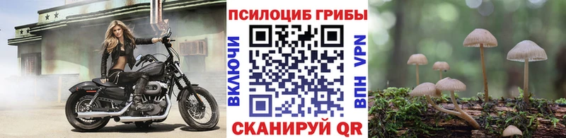 Галлюциногенные грибы Psilocybe  Лобня 